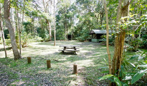 Toonumbar National Park - Tweed Heads Accommodation 3