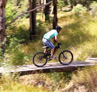 The Steps Mountain Bike Park - Tweed Heads Accommodation