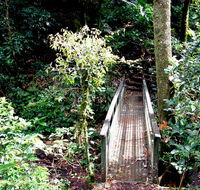 Richmond Range National Park - Tweed Heads Accommodation