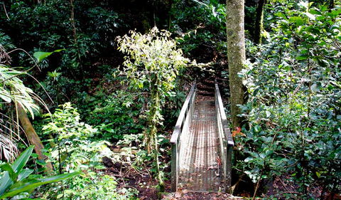 Richmond Range National Park - Tweed Heads Accommodation 0