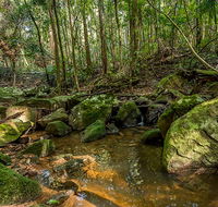 Palm Grove Nature Reserve - Tweed Heads Accommodation