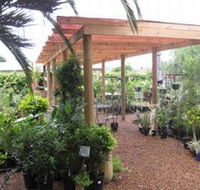 Country Elegance Gardens and Gifts - Tweed Heads Accommodation