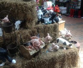 Country Elegance Gardens And Gifts - Tweed Heads Accommodation 3