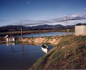 Trudgalong Farm - Tweed Heads Accommodation 1