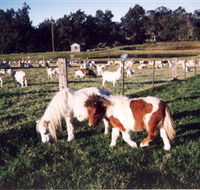 Trudgalong Farm - Tweed Heads Accommodation