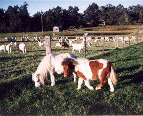 Trudgalong Farm - Tweed Heads Accommodation 0