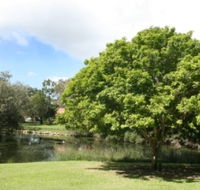 Hervey Bay Botanic Gardens - Tweed Heads Accommodation