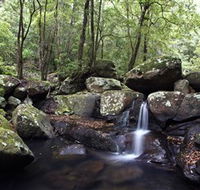 Kangaroo River - Tweed Heads Accommodation