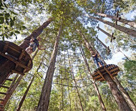 TreeTop Adventure Park Central Coast - Tweed Heads Accommodation 0