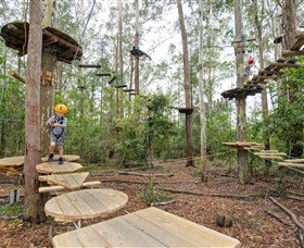 TreeTop Adventure Park Central Coast - Tweed Heads Accommodation 1