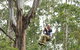 TreeTop Adventure Park Central Coast - thumb 2