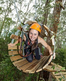 TreeTop Adventure Park Central Coast - Tweed Heads Accommodation 3