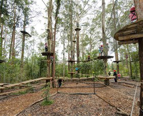 TreeTop Adventure Park Central Coast - Tweed Heads Accommodation 5