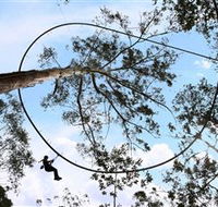 TreeTops Crazy Rider - Tweed Heads Accommodation