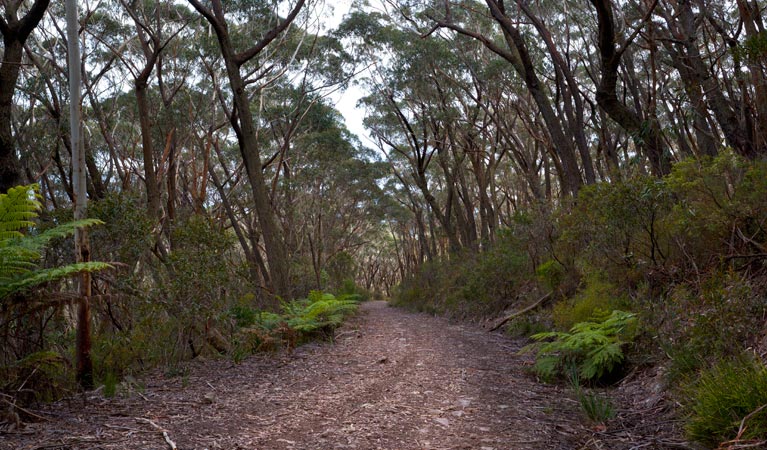 Yadboro NSW Tweed Heads Accommodation
