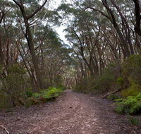 Budawang National Park - Tweed Heads Accommodation