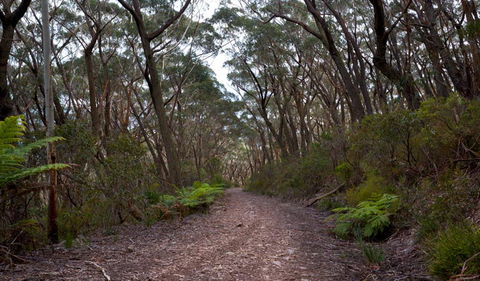 Budawang National Park - Tweed Heads Accommodation 0
