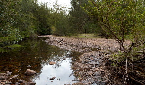 Budawang National Park - Tweed Heads Accommodation 2