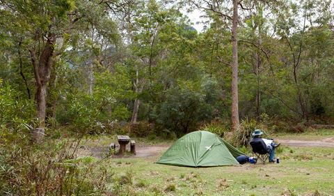 Budawang National Park - Tweed Heads Accommodation 3