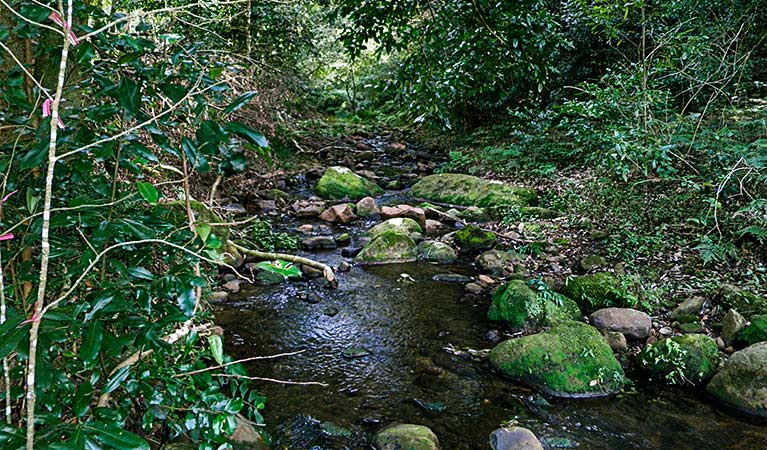 Macquarie Pass NSW Tweed Heads Accommodation