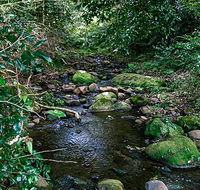 Macquarie Pass National Park - Tweed Heads Accommodation