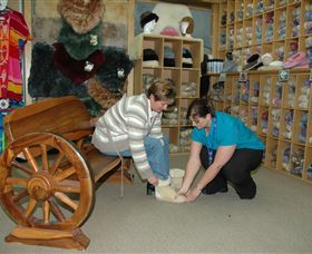 Mortels Sheepskin Factory - Tweed Heads Accommodation 1