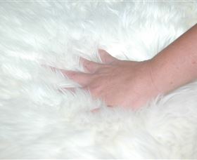 Mortels Sheepskin Factory - Tweed Heads Accommodation 4