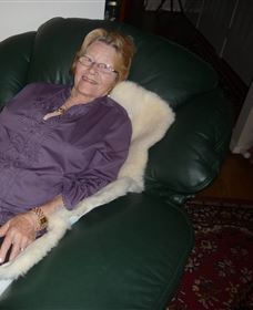 Mortels Sheepskin Factory - Tweed Heads Accommodation 6
