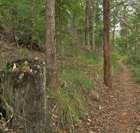 Border loop walk - Tweed Heads Accommodation