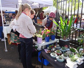 Glebe Markets - Tweed Heads Accommodation 3