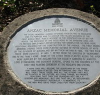 Anzac Memorial Avenue Redcliffe - Tweed Heads Accommodation