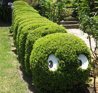 Nutcote - May Gibbs' Home - House Museum - Tweed Heads Accommodation