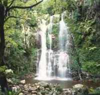 Budderoo National Park - The Falls Walk - Tweed Heads Accommodation