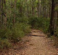 Pigeon House Mountain Didthul walking track - Tweed Heads Accommodation