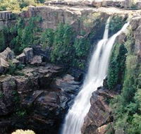 Minnamurra Rainforest Centre Budderoo National Park - Tweed Heads Accommodation
