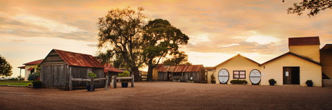Tyrrells Vineyards - Tweed Heads Accommodation 2