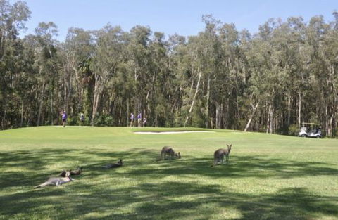 Emerald Downs Golf Course - Tweed Heads Accommodation 4
