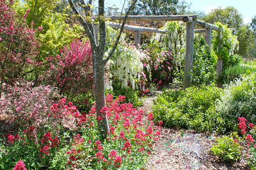 Ivy Hill Gallery - Tweed Heads Accommodation 6