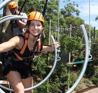 Wild Ropes at Taronga Zoo - Tweed Heads Accommodation