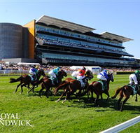 Royal Randwick Racecourse - Tweed Heads Accommodation