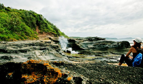 Glenrock State Conservation Area - Tweed Heads Accommodation 0