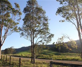 Tourist Drive 2 - Bucketts Way - Tweed Heads Accommodation 1