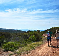 Moonee Beach trail - Tweed Heads Accommodation