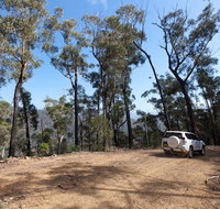 Wadbilliga Road drive - Tweed Heads Accommodation