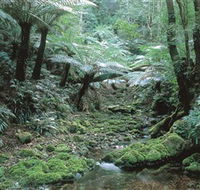 The Corn Trail Walk - Tweed Heads Accommodation