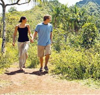 Hoddles Track - Tweed Heads Accommodation