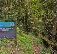 Red Cedar loop - Tweed Heads Accommodation