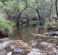 Homeleigh - Tweed Heads Accommodation