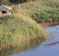 Spring Creek Bird Hide - Tweed Heads Accommodation