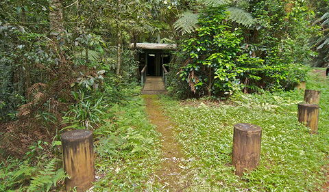 Brindle Creek Picnic Area - Tweed Heads Accommodation 0